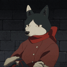 a black and white animal with a red scarf around his neck