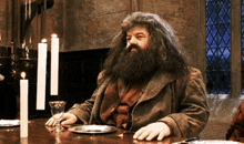 Hagrid GIF - Hagrid GIFs