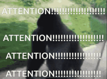 Attention GIF - Attention GIFs