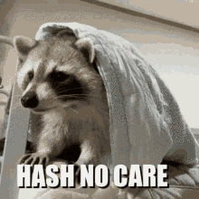 Hash No Care GIF - Hash No Care GIFs