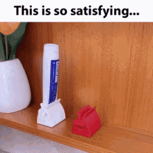 Jevanna Jevanna Toothpaste And Lotion Squeezer GIF - Jevanna Jevanna Toothpaste And Lotion Squeezer GIFs