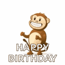 happy birthday cute monkey