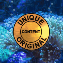 Original Content Unique Content GIF - Original Content Unique Content Unique GIFs