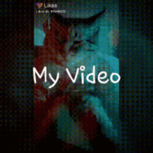 Cat Live GIF - Cat Live Bubbles GIFs