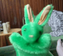 Piche Rabbit GIF - Piche Rabbit Looking GIFs