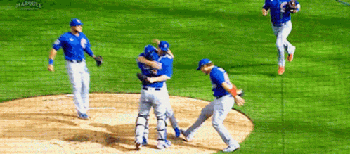Chicago Cubs Cubs GIF - Chicago Cubs Cubs Cubs Win - Discover