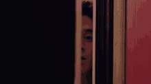 a close up of a person 's face peeking out from behind a door