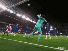 GIF