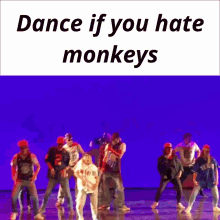 Dance If You Hate Monkeys Monkey GIF - Dance If You Hate Monkeys Monkey Dance GIFs