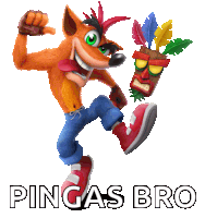 a picture of crash bandicoot with the words pingas bro