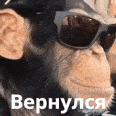 a chimpanzee wearing sunglasses and a hat is making a funny face .