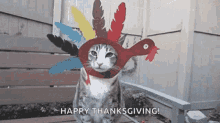 Happy Thanksgiving GIF - Happy Thanksgiving Kaim GIFs