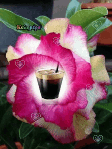καλημερα Coffee GIF - καλημερα Coffee Flower GIFs