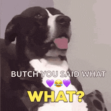 GIF