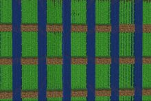 a grid of green and blue lines with a few brown lines