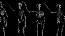 Halloween GIF - Skeletons Animation Dancing GIFs