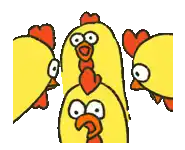 a group of chickens are standing next to each other and looking at something