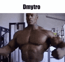 Dmytro Bodybuilder GIF - Dmytro Bodybuilder GIFs