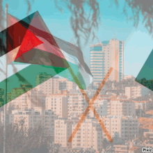 Palestine Israel GIF