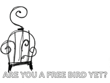 Bird Cage Fly GIF - Bird Cage Fly Freedom GIFs