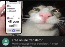 a picture of a cat next to a cell phone that says kill your self