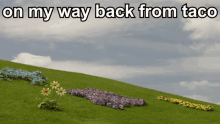 Back From Taco On My Way Back From Taco GIF - Back From Taco On My Way Back From Taco On My Way GIFs