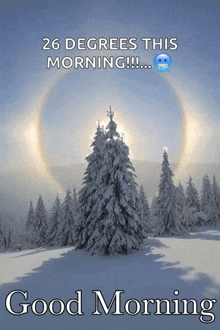 Coldmorning Goodmorning GIF