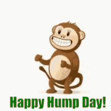 happy hump day its