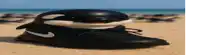 a toy whale is sitting on top of a nike shoe on the beach .