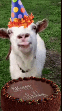 Happy Birthday Goats GIF