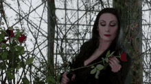 Don'T Torture Yourself - The Addams Family GIF - Addamsfamily Theaddamsfamily Morticiaaddams GIFs