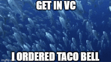 Get In Vc I Ordered Taco Bell Get In Vc GIF - Get In Vc I Ordered Taco Bell Taco Bell Vc GIFs