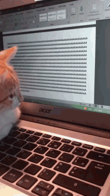 Mayaspapayas Cat Pressing A GIF - Mayaspapayas Cat Pressing A Keyboard Smash GIFs