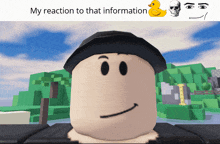 a picture of a roblox character with the words my reaction to that information