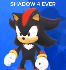 Shadow The Hedgehog Shadow Hedgehog GIF - Shadow The Hedgehog Shadow Hedgehog All Hail Shadow GIFs