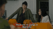 There Are No Gangs In Monterey Were Safe GIF - There Are No Gangs In Monterey Were Safe Its Fine GIFs