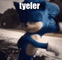 a close up of a blue sonic the hedgehog with the words tyeler written on the bottom .