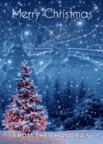 Merry Christmas Seasons Greetings GIF - Merry Christmas Seasons ...