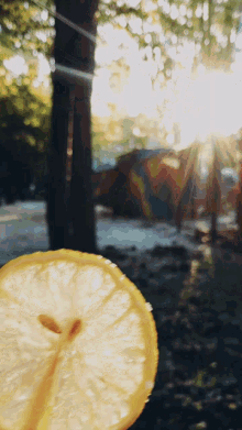 Lemon Cult Good Morning GIF