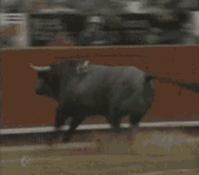 Bull Insult GIF - Bull Insult Attack GIFs