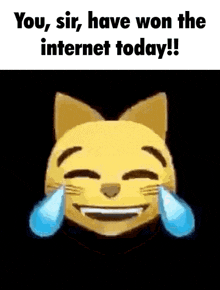 a cat emoji with tears coming out of its eyes and the words `` you , sir , have won the internet today !! ''