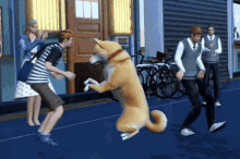 Makuri Dog Dancing Dog GIF - Makuri Dog Dancing Dog Dancing GIFs