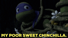 Tmnt Donatello GIF - Tmnt Donatello My Poor Sweet Chinchilla GIFs