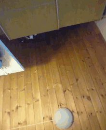 Ceiling Crazy Face GIF - Ceiling Crazy Face Silly GIFs