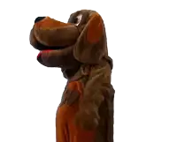 a brown dog mascot with a red tongue sticking out and the letter w on its chest