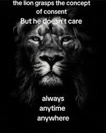 the lion grasps the concept of consent but he doesn 't care always anytime anywhere
