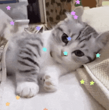 a gray and white cat is laying on a bed with stars around it