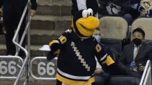 Pittsburgh Penguins Iceburgh GIF - Pittsburgh Penguins Iceburgh Dancing GIFs