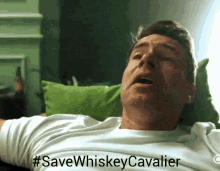 whiskey cavalier dramady tv show save whiskey cavlier save whiskey cavalier