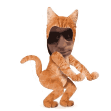 aaron abel funny dance cat